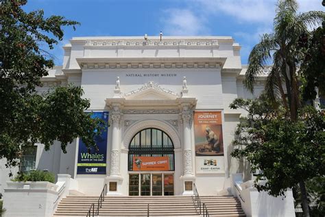 SAN DIEGO NATURAL HISTORY MUSEUM (2024): Know BEFORE You Go