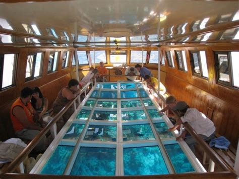 Glass Bottom boats | sharm-el-sheikh.com