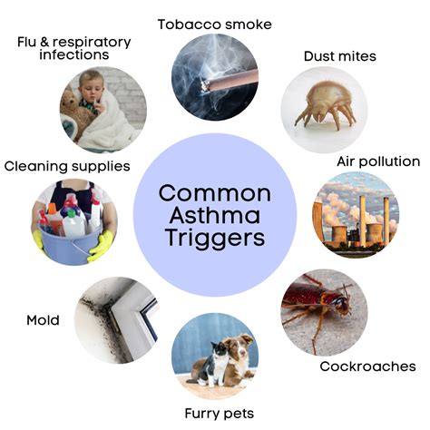 Asthma Triggers