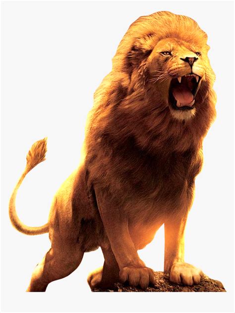 Lion Roar Wallpaper Hd, HD Png Download , Transparent Png Image - PNGitem