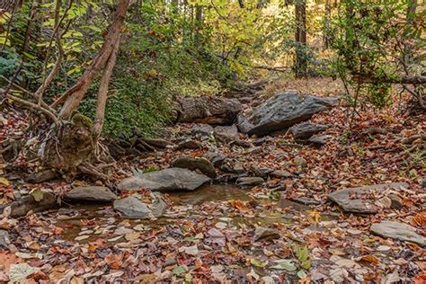 Up The Creek - A Gatlinburg Cabin Rental