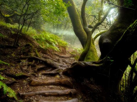 Hiking pathes, La Gomera on Behance