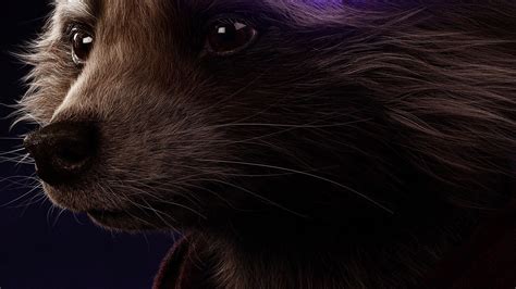 Rocket Raccoon Avengers Endgame 2019 Poster, HD Movies, 4k Wallpapers ...