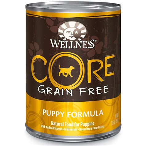 Wellness CORE Natural Grain Free Wet Canned Dog Food - Best top care ...