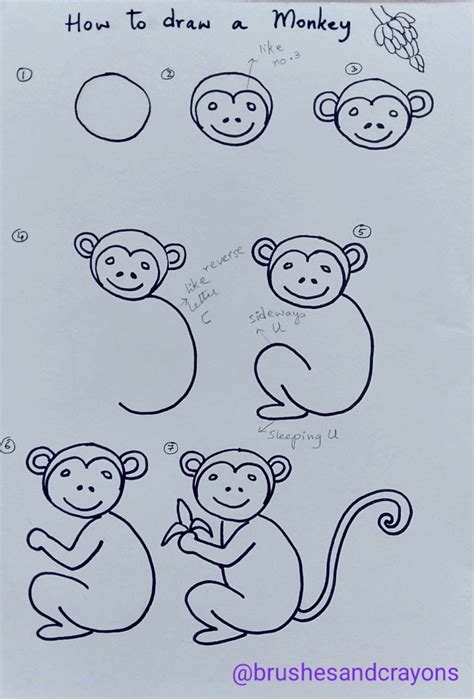 Monkey Drawing Easy Cute | AESTHETIC DRAWING