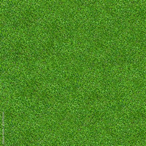 Green grass texture for background. Green lawn pattern and texture ...