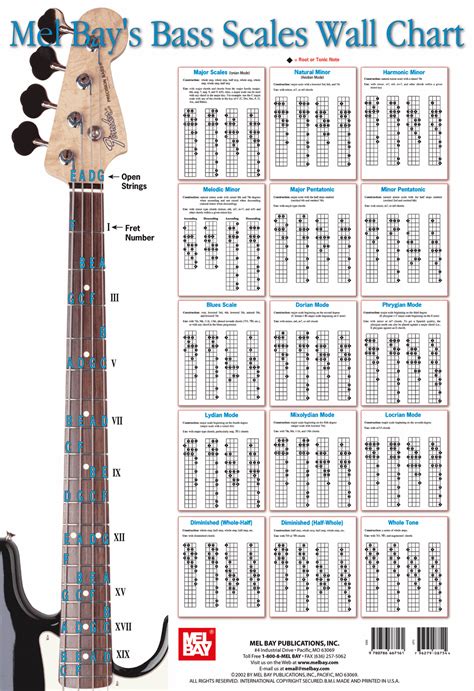 Bass Guitar Bridge 4 Strings Bass Guitar Kits Build Your Own #guitarist ...