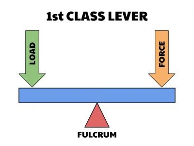 First Second Third Class Lever Examples