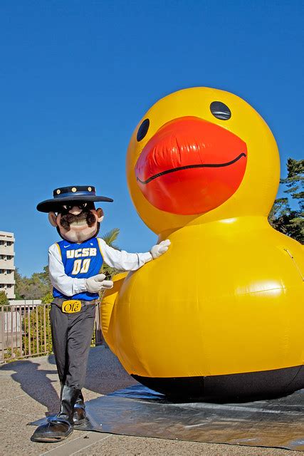 Duck and UCSB Gaucho mascot | Flickr - Photo Sharing!