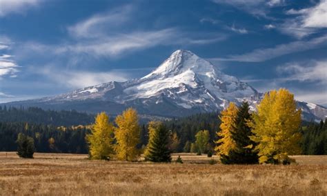 Mt Hood National Forest, Oregon - AllTrips