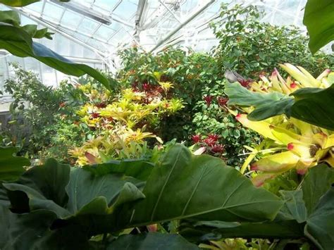 Cleveland Botanical Garden Tour - Gardening Online Magazine