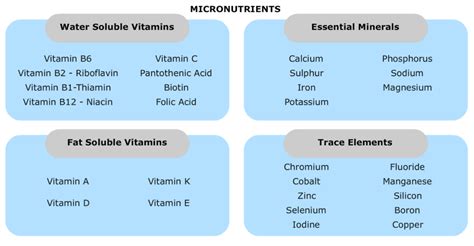 micronutrients - Public Health Notes