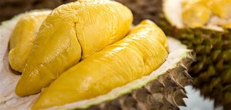 Manfaat Kesehatan Durian Monthong yang belum Anda Ketahui - Bataviase.co.id