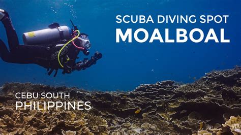 Diving Moalboal Cebu Philippines | Fasci Garden