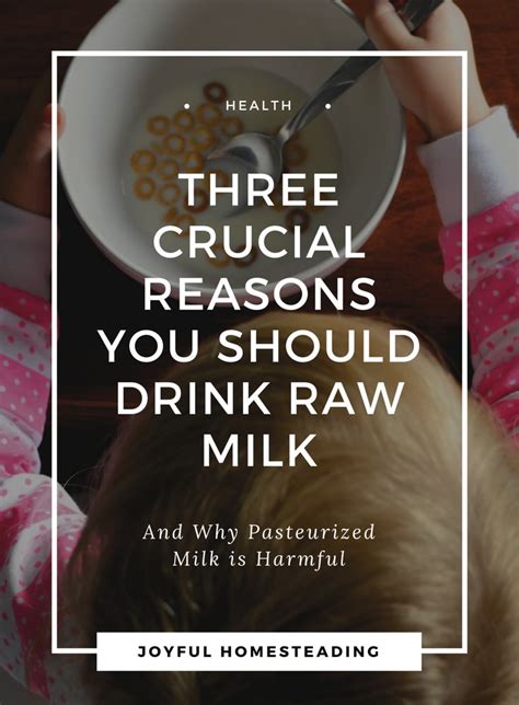 Raw Milk Benefits - Why Bessie Needs to Get Out of the Factory and Back ...