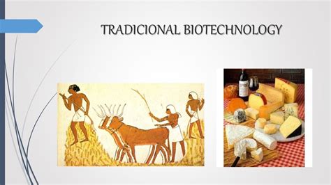 Traditional biotechnology