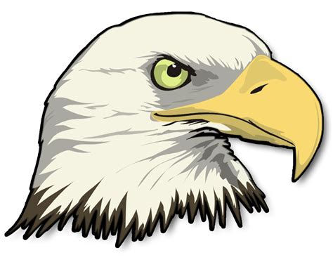 Cartoon Eagle Clipart Free Black And White