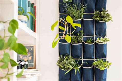 How to Create a DIY Plant Wall