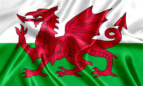 Welsh flag silk - Castell Howell