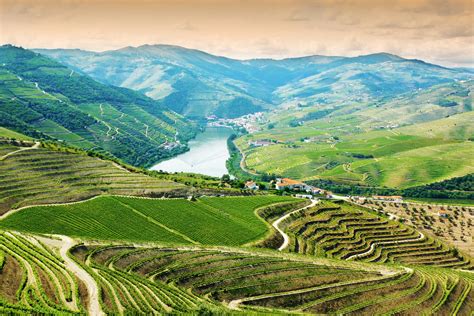 Douro Valley Wine Tasting Tour from Porto - Tourist Journey