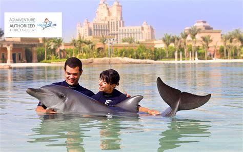 Royal Swim with Dolphins Dubai | Tickets, Tours & Deals | Headout