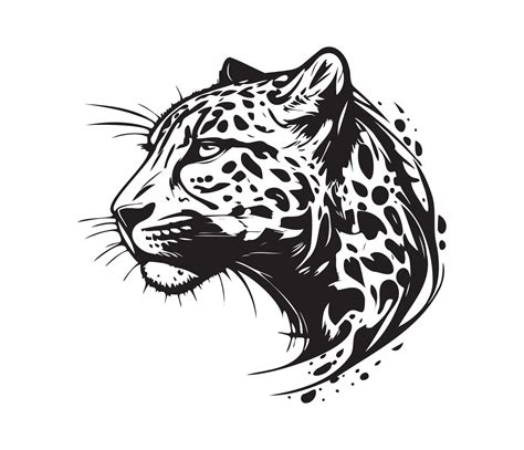 Leopard Face, Silhouettes Leopard Face, black and white Leopard vector ...