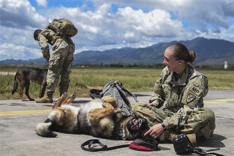 U.S. DEPARTMENT OF DEFENSE > Photos > Photo Gallery