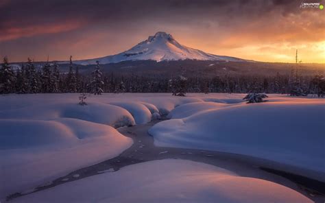 viewes, trees, River, Mount Hood, Stratovolcano, State of Oregon, Snowy ...