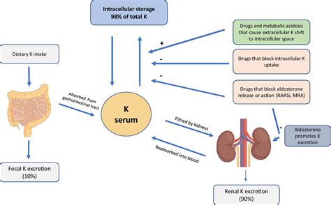 Frontiers | Hyperkalemia in CKD: an overview of available therapeutic ...