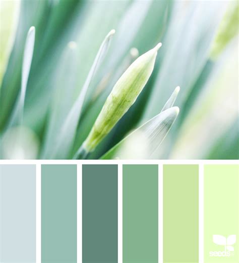 Color Nature | Green color schemes, Green colour palette, Bedroom ...