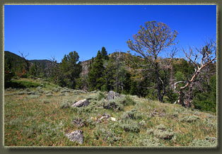 Ferris Mountains Wilderness Study Area, Wyoming