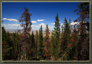 Ferris Mountains Wilderness Study Area, Wyoming