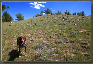 Ferris Mountains Wilderness Study Area, Wyoming