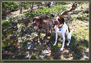 Ferris Mountains Wilderness Study Area, Wyoming