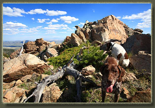 Ferris Mountains Wilderness Study Area, Wyoming