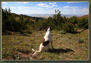 Ferris Mountains Wilderness Study Area, Wyoming