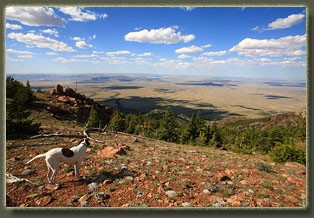 Ferris Mountains Wilderness Study Area, Wyoming