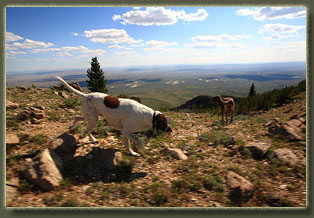 Ferris Mountains Wilderness Study Area, Wyoming