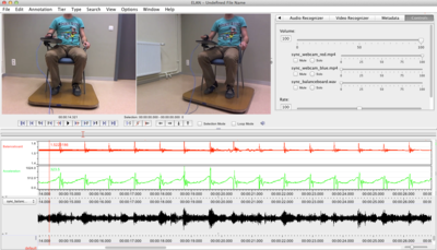 The synchronized data from the two webcams, accelerometer and balanceboard in ELAN. From top to bottom the synchronized streams are two video-streams, balance-board data (red), accelerometer-data (green) and audio (black).