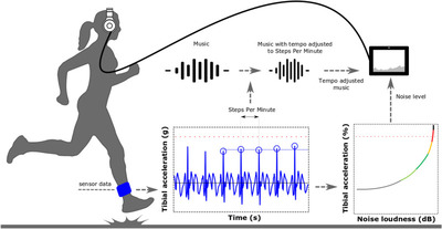 Music feedback schema