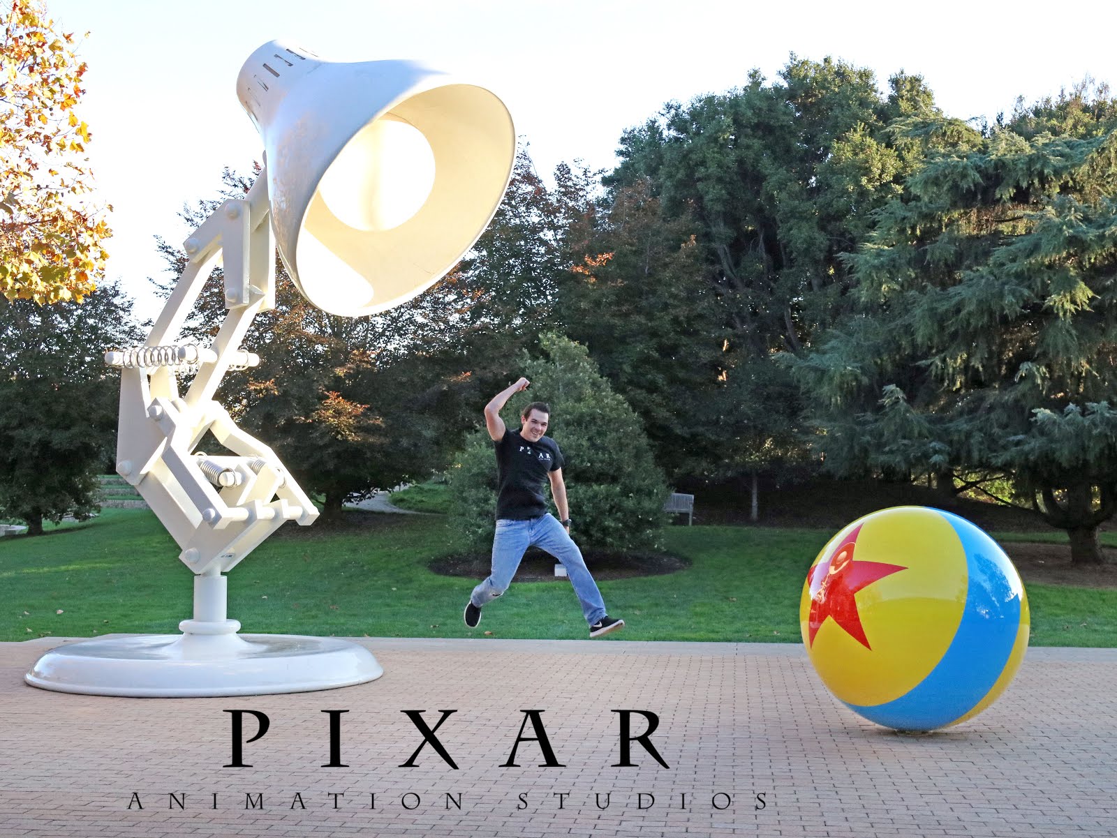 Pixar Animation Studios Lamp