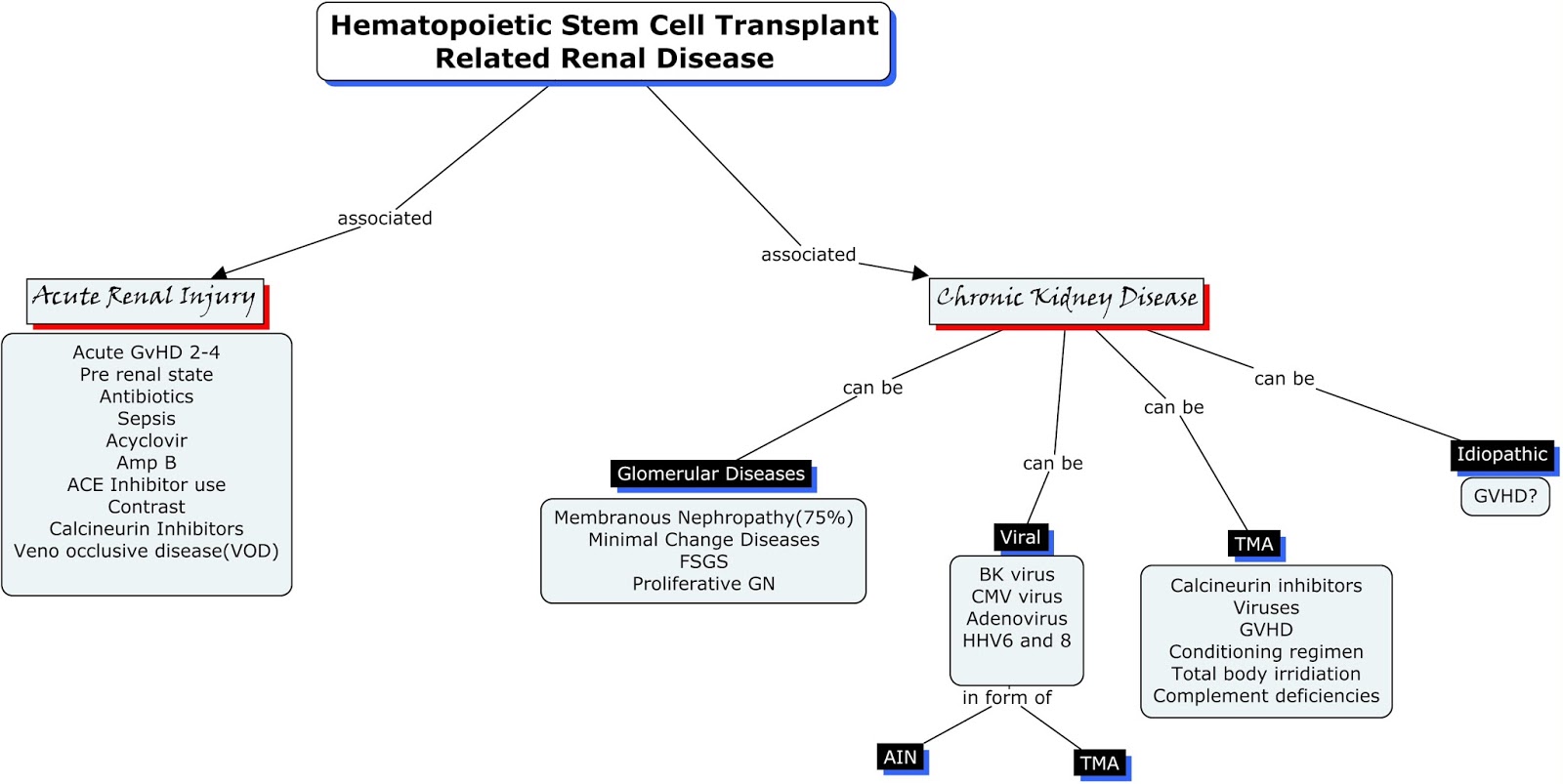 Acute Renal Failure Concept Map