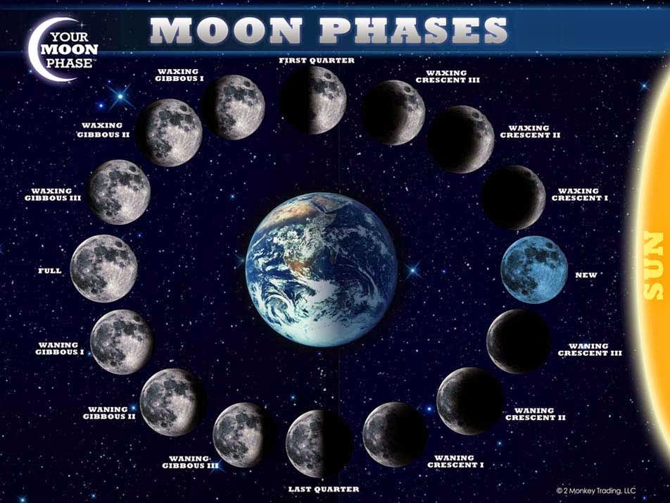 Moon And Its Phases