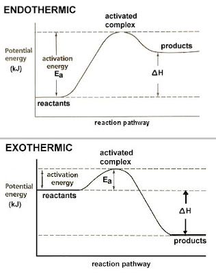 Exothermic Vs Endothermic Diagram