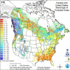 Average Forest Age in Canada and the contiguous United States.