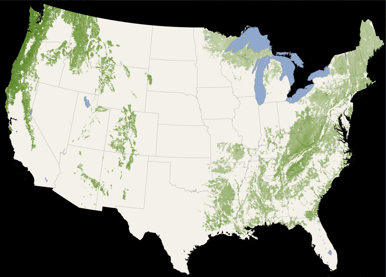 Forest canopy height map of the contiguous United States.