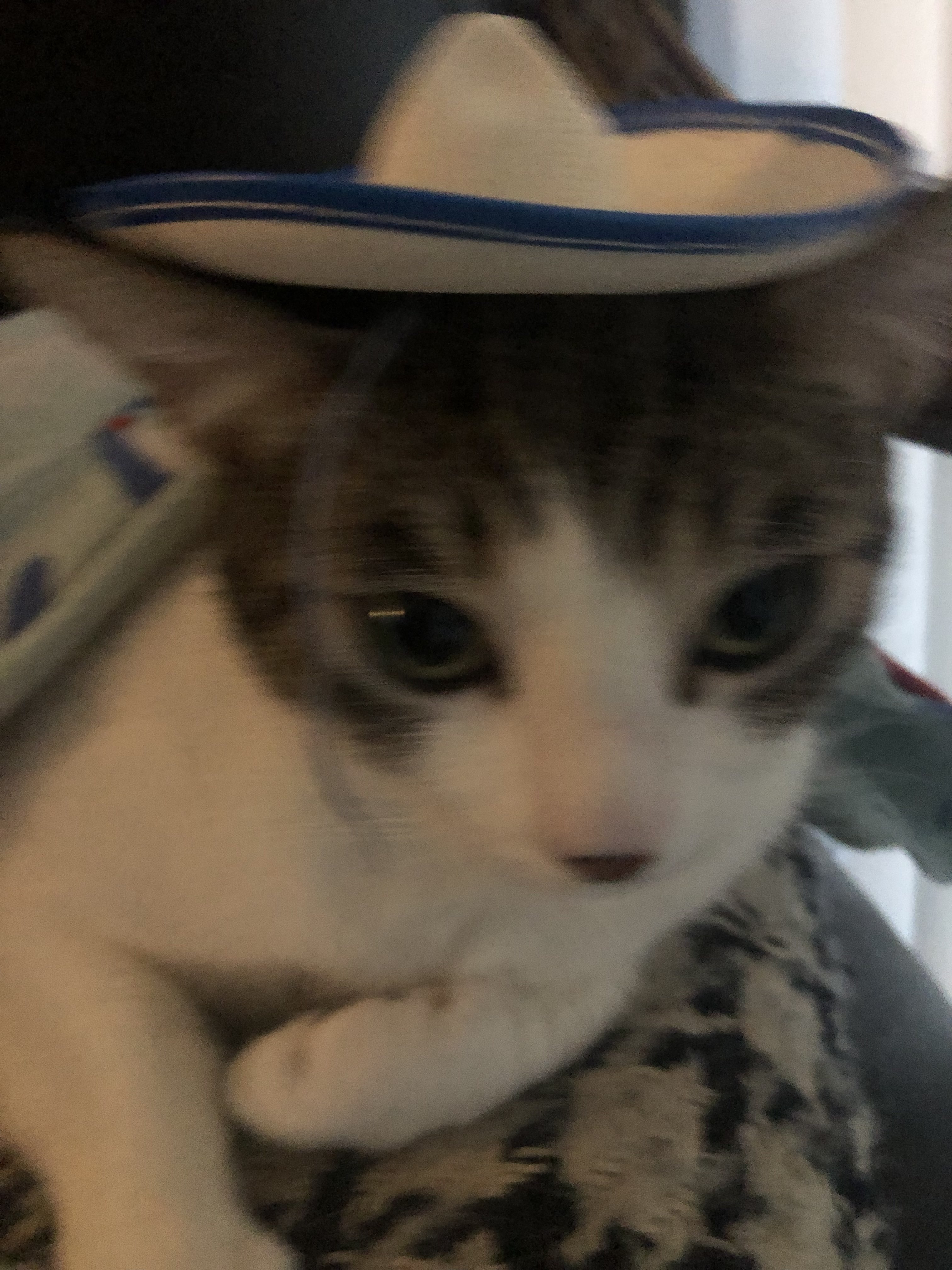 Noni wearing a sombrero.