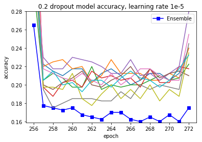 accuracies after training with manual set learning rate