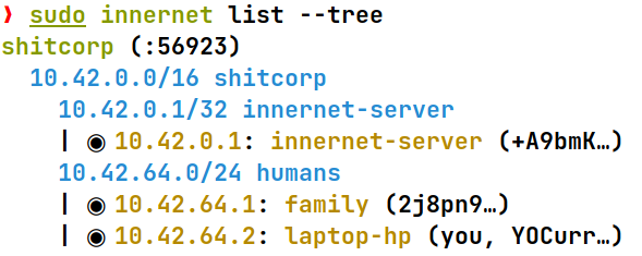 screenshot of the command output of the innernet list command