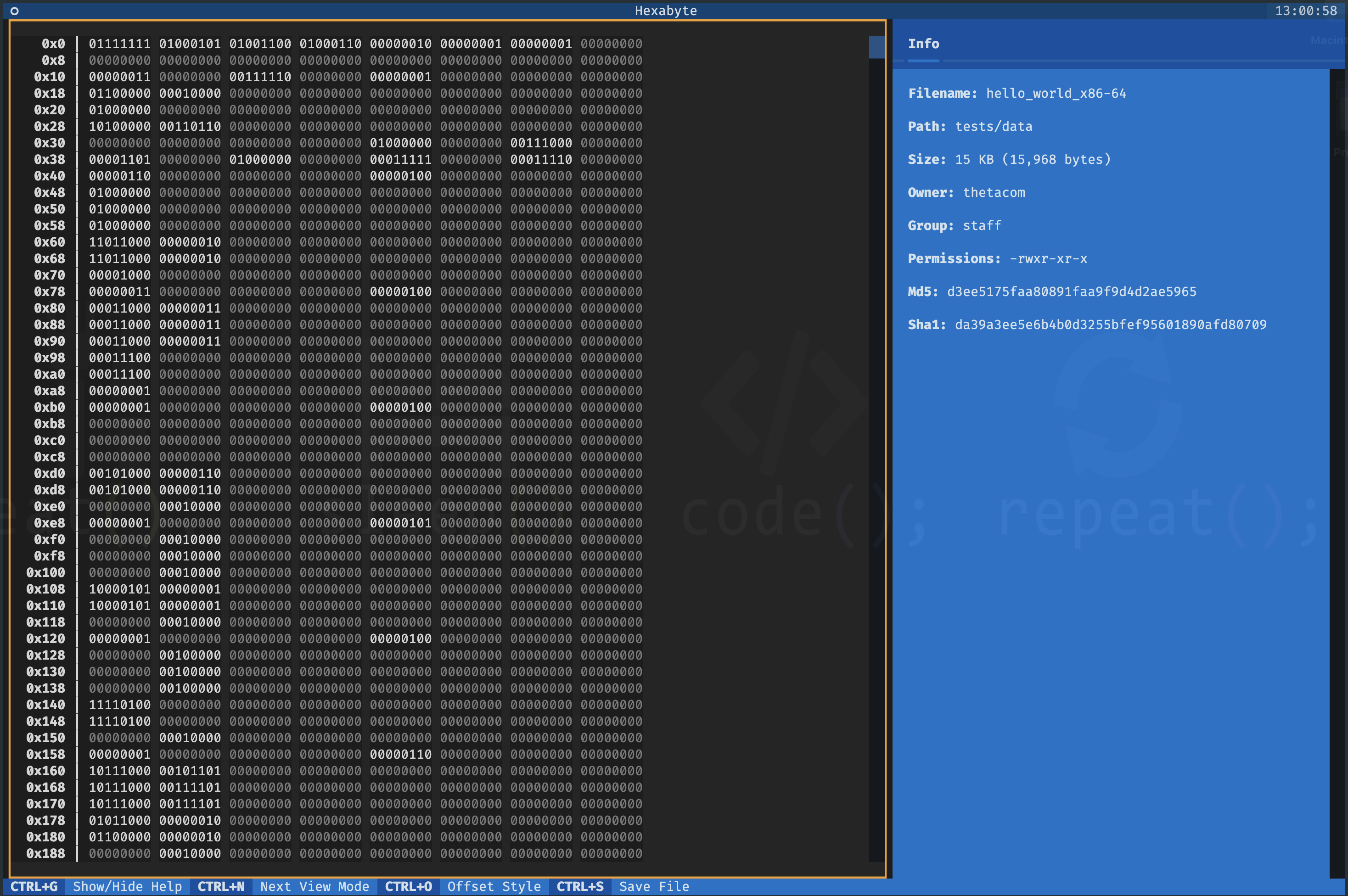 hello_world ELF binary view